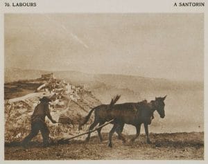 One of the most captivating aspects of Naxos is its dedication to sustainable farming. The island’s fertile soil produces an abundance of fruits, vegetables, and the famous local cheeses, all lovingly tended to by the island’s farmers. Visiting local farms and tasting the freshest produce is a must for anyone wanting to experience Naxos’ agricultural pride.